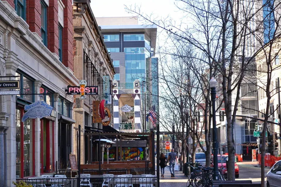 Exploring Brookline's Natural Beauty and Community in Brookline