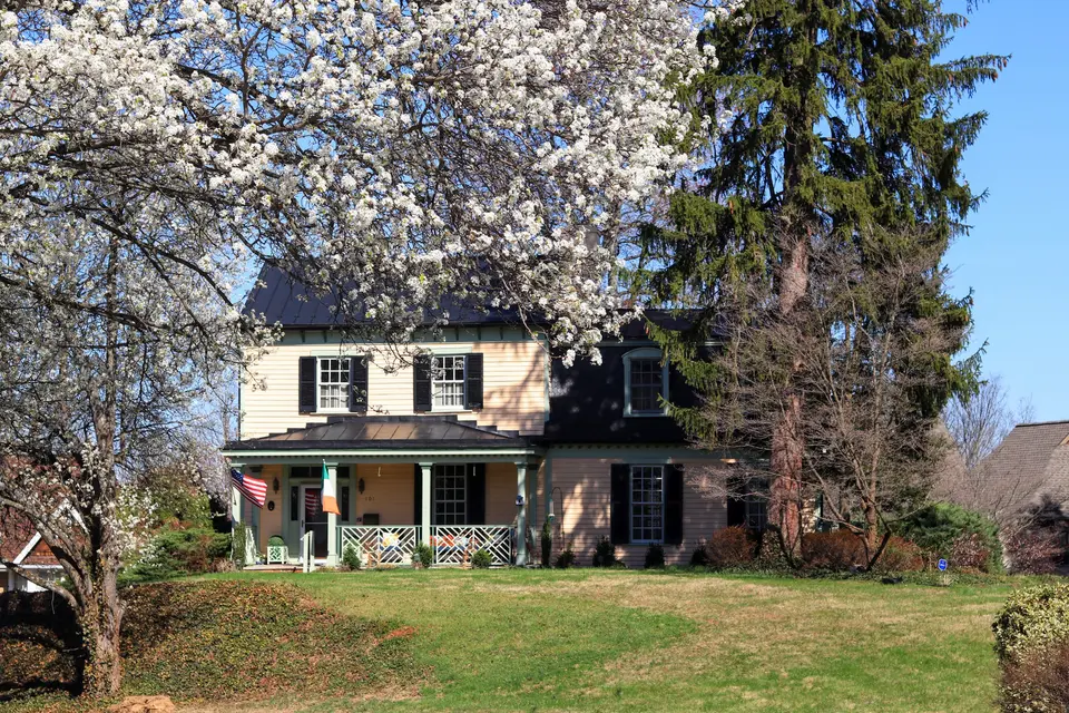 mold removal Milford